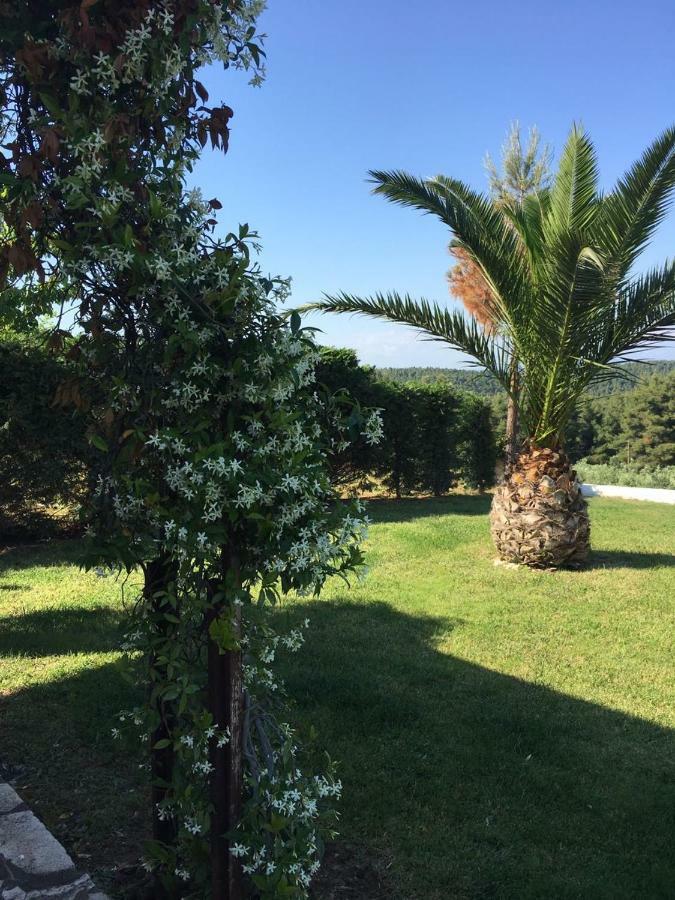 3 Bedroom Villa In Elani Villas Chalkidiki Siviri Esterno foto